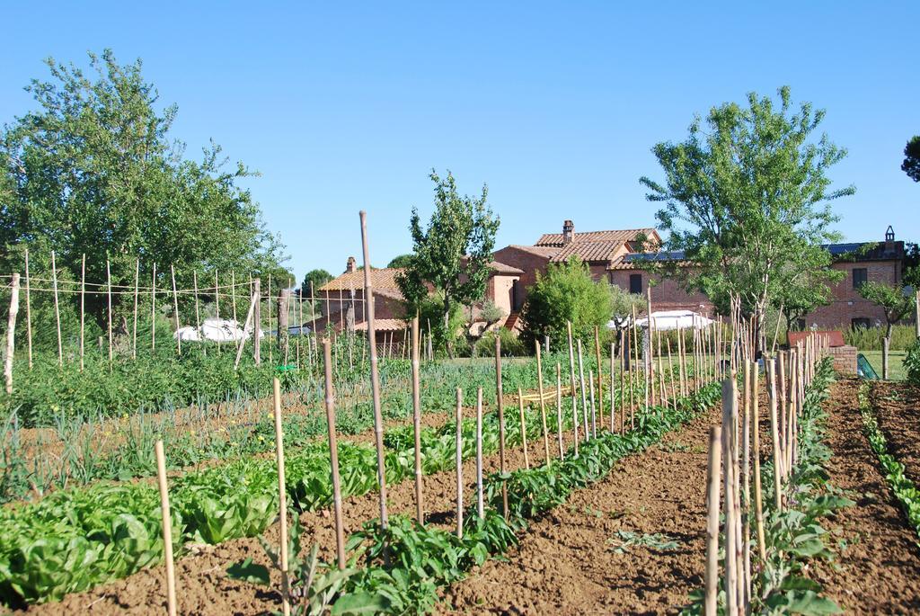 Agriturismo Le Torri Di Porsenna Petrignano Del Lago Экстерьер фото